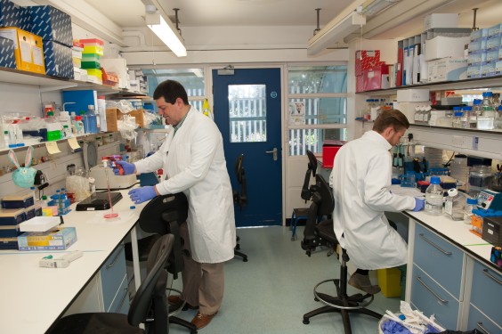 Dr Fotis working in the lab on his bile duct model research project