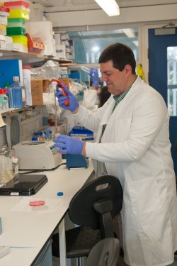 Dr Fotis working in the lab on his bile duct model research project