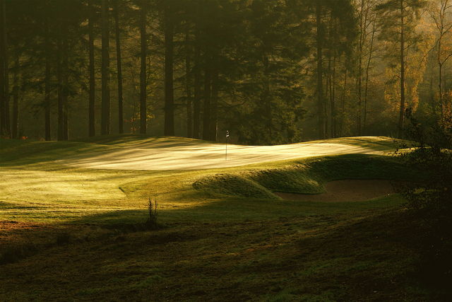 4th Green - Remedy Oak